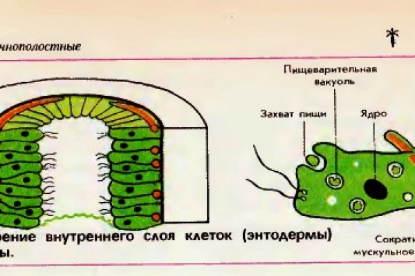 Кракен короткая ссылка