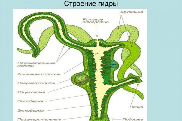 Kraken сайт даркнет