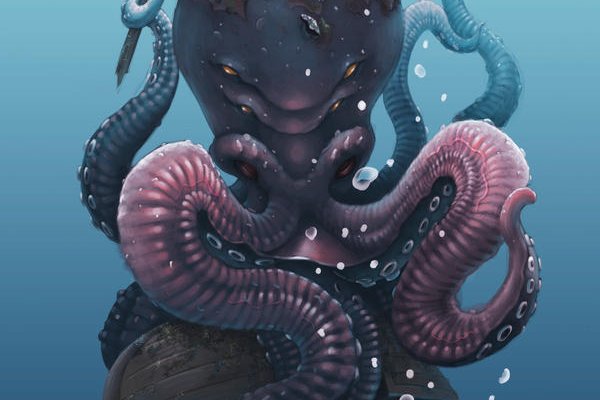 Kraken 20at