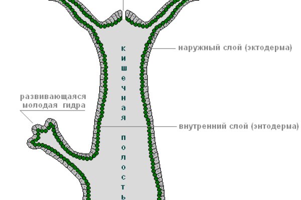 Кракен сыл ссылка